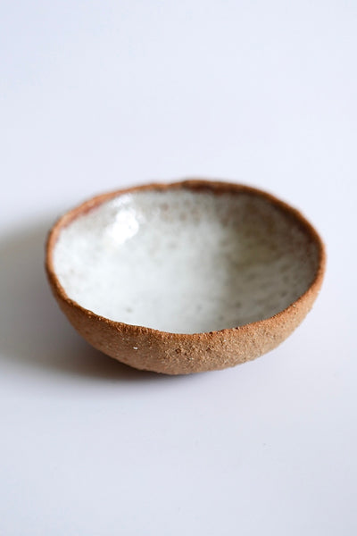 Coconut Shell Bowl