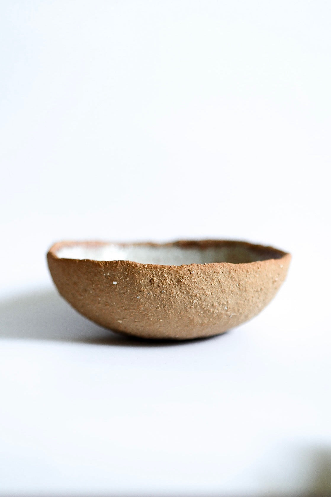 Coconut Shell Bowl