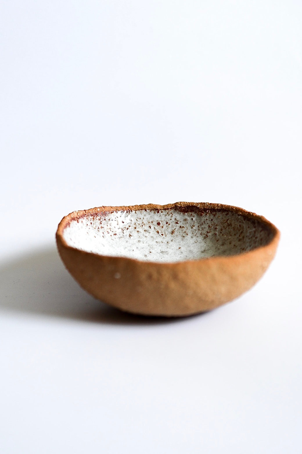 Coconut Shell Bowl