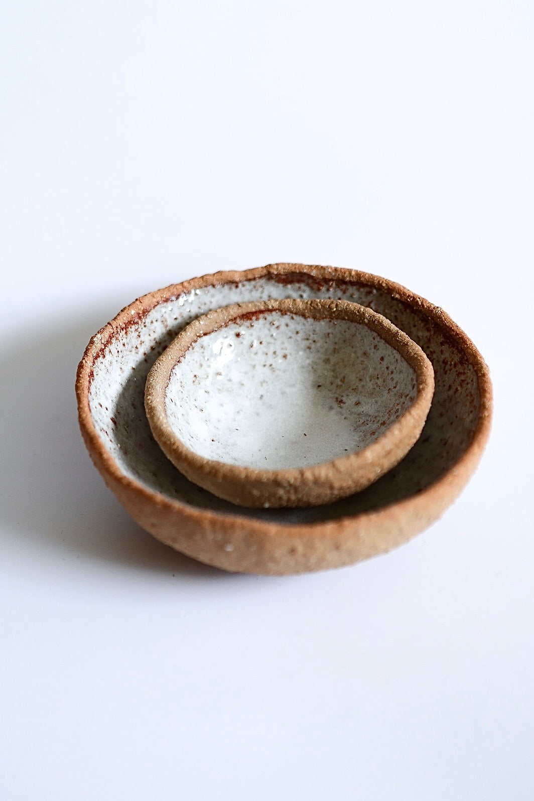 Coconut Shell Bowl